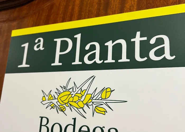 Bodega De Ana Pensjonat San Ciprián